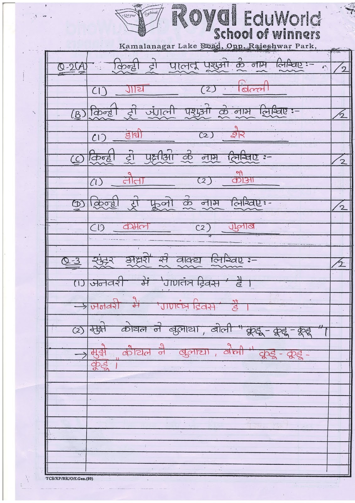 essay exams hindi