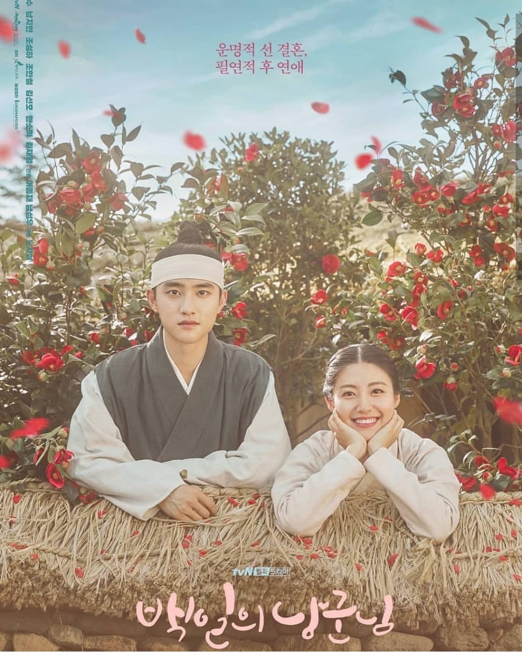 review drama korea 100 days my prince (2018) review drama korea 100 days my prince (2018)
