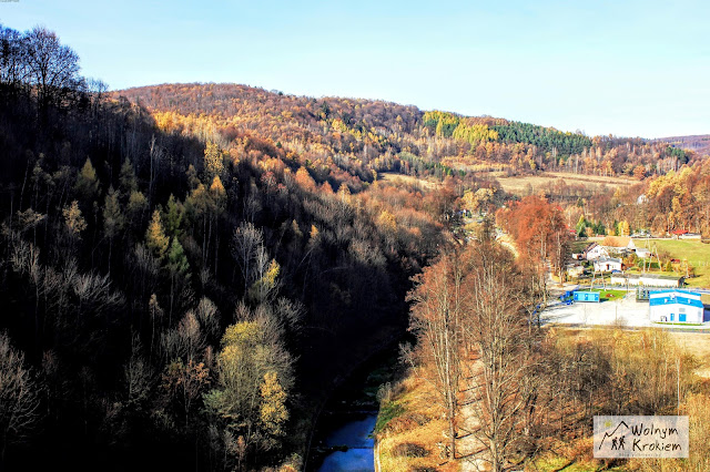 Zamek Grodno w Górach Sowich