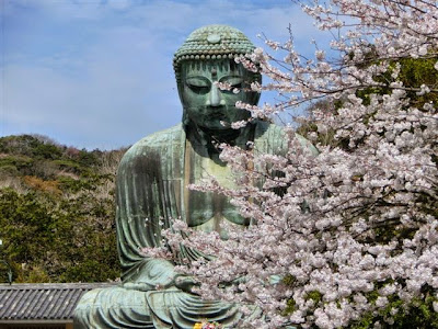鎌倉大仏と桜