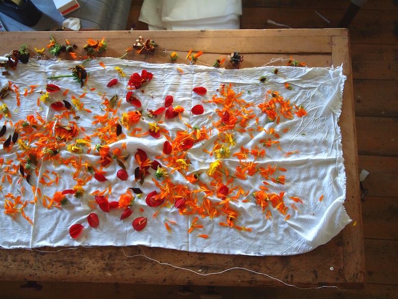 Fabric Dyeing With Flowers i knowles nothing