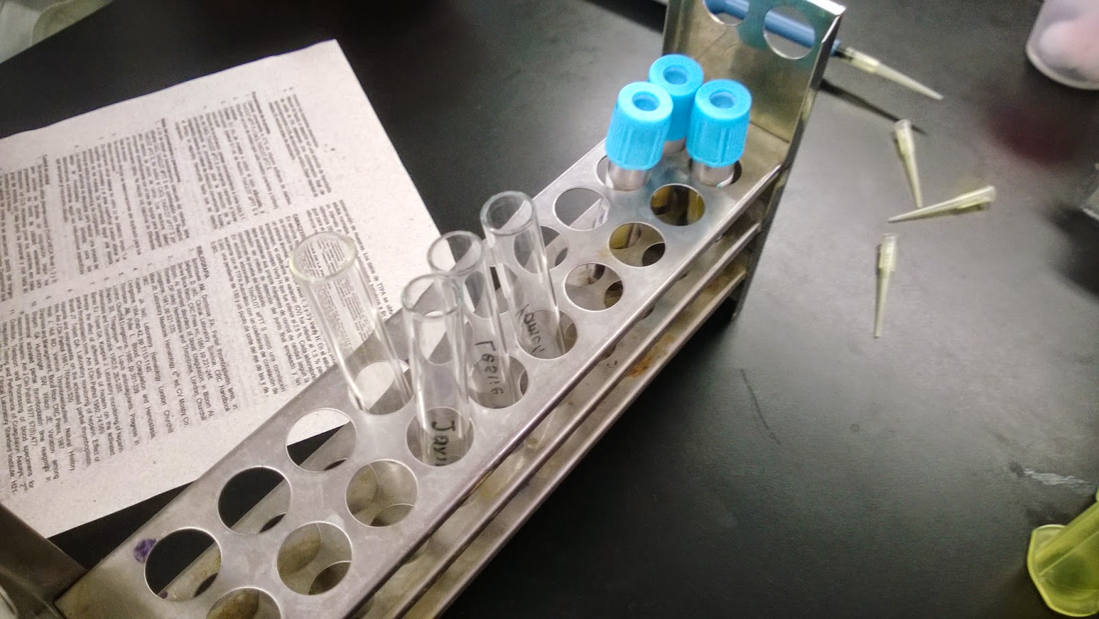 DETERMINACION DE TP & TPT DETERMINACION DE TP & TPT