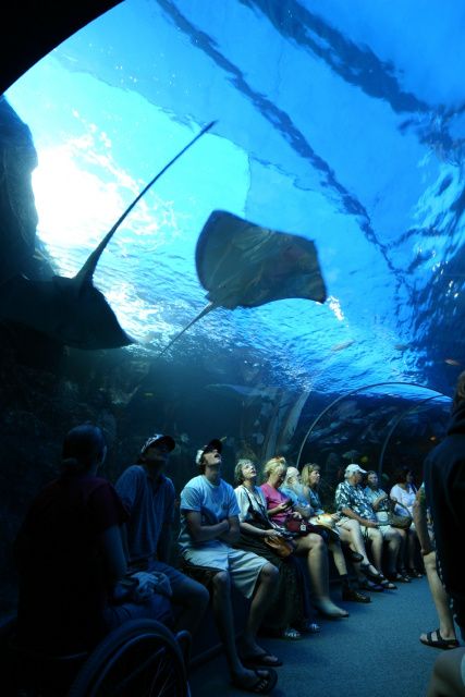 Maui Ocean Center, Hawaii, USA