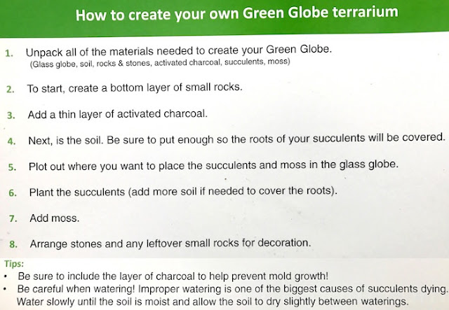 How to build a Terrarium