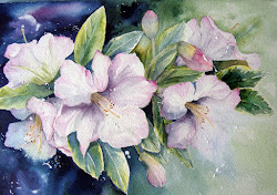 rhododendrons watercolour rhododendron leonardo 600gm rough paper florals