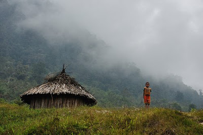 Potret Rumah Adat Papua Potret Rumah Adat Papua