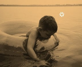 el club de los libros perdidos, MI PLANTA DE NARANJA LIMA, libro recomendado, libro para navidad, libro para regalar, amazon el club de los libros perdidos, MI PLANTA DE NARANJA LIMA, libro recomendado, libro para navidad, libro para regalar, amazon