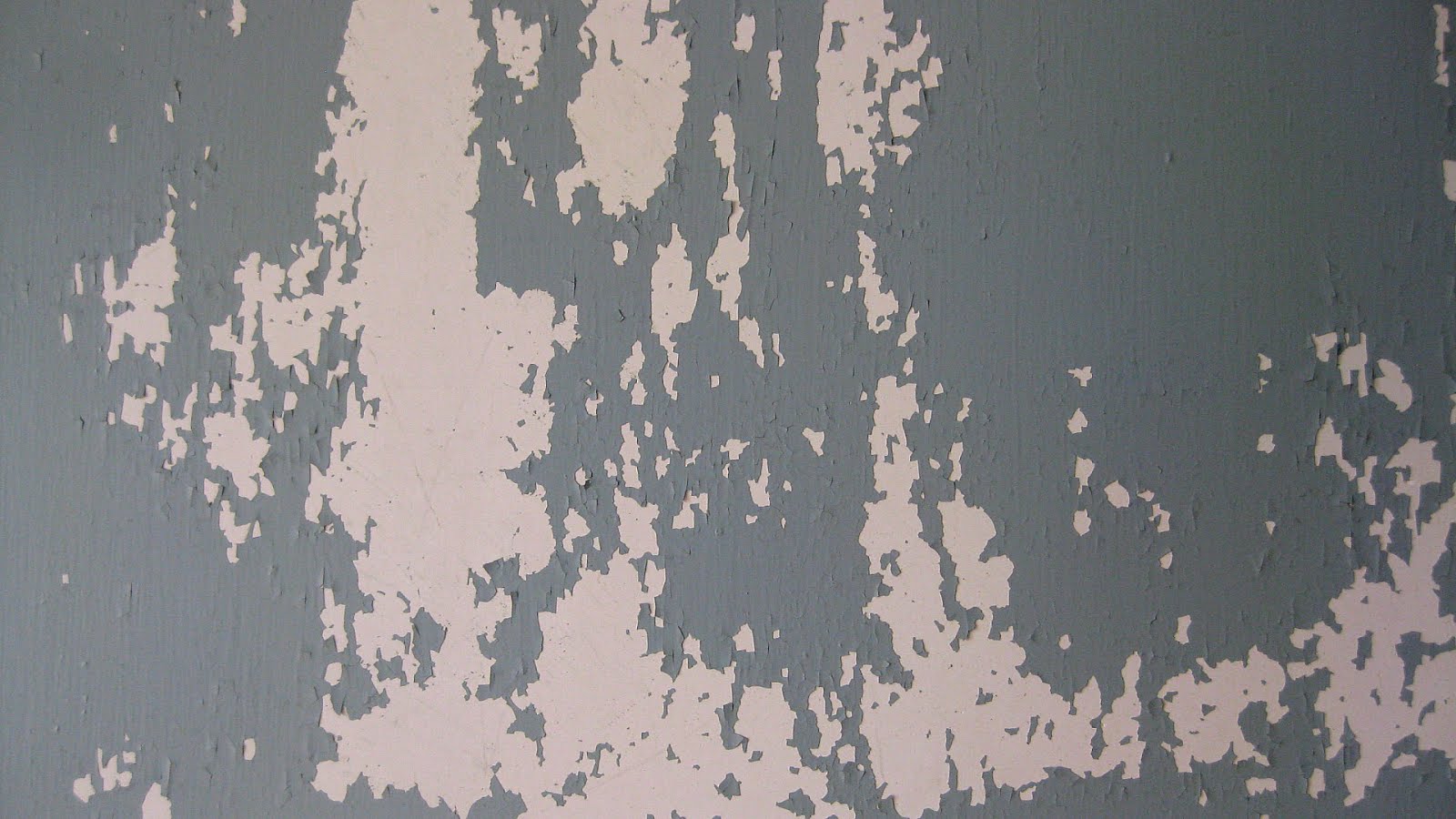 Fresco Painting Plaster Walls Paint Choices