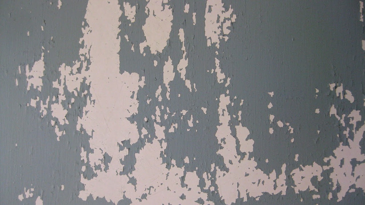 painting plaster walls