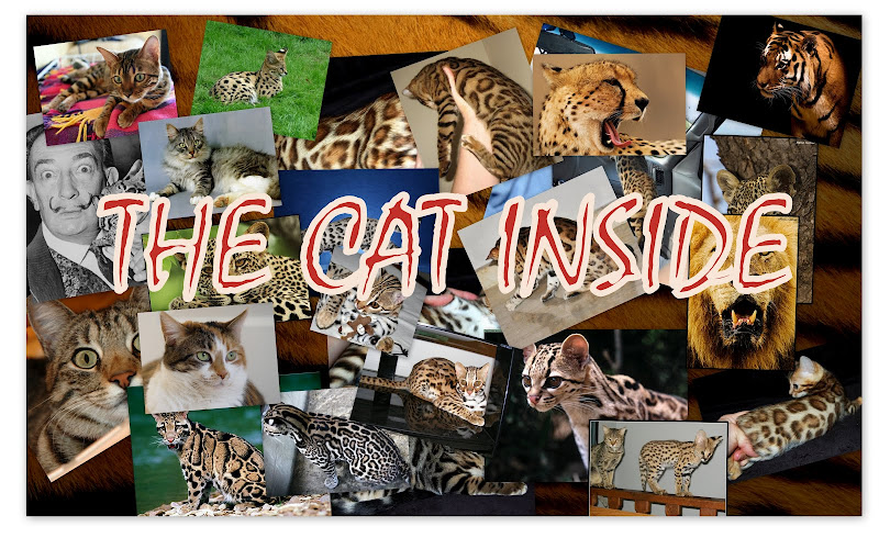 THE CAT INSIDE