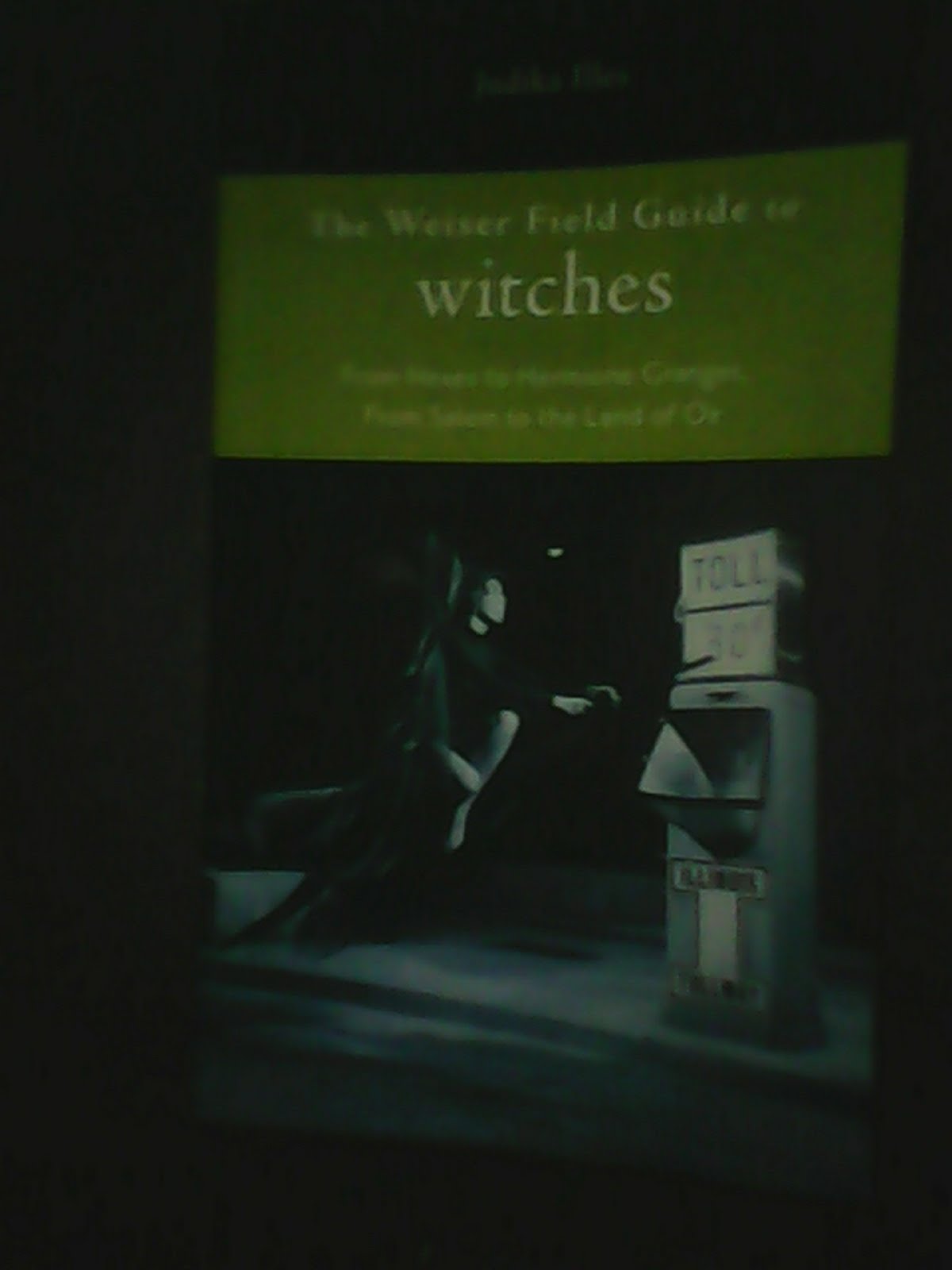 'The Weiser Field Guide to witches' by Judika Illes.