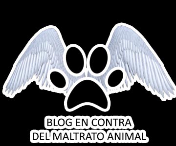 Blog en contra del maltrato animal