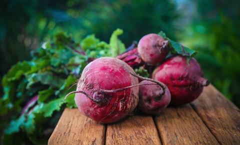 Umbi tanaman bit dikenal dengan Buah bit Umbi tanaman bit dikenal dengan Buah bit