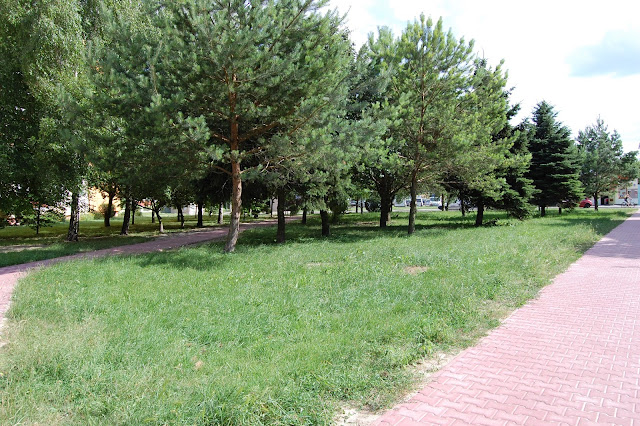 DSC_6153.JPG