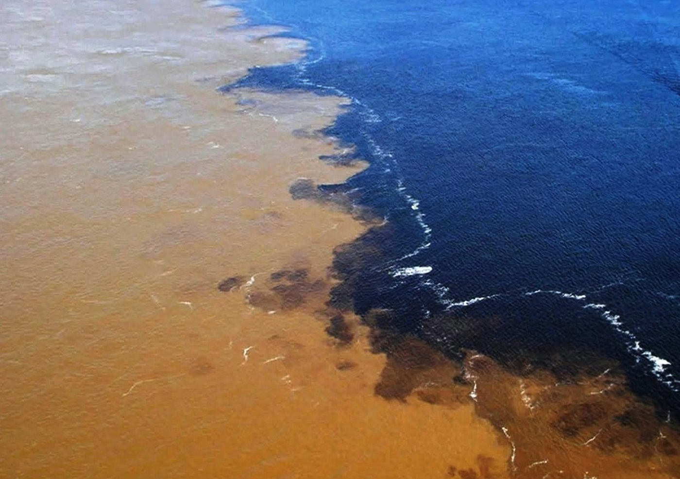 Blog do Edu Ambiental Rio Negro e Rio Solimões Blog do Edu Ambiental Rio Negro e Rio Solimões