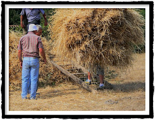 sinonimos de adulacion sinonimos de denominar sinonimos de adulacion sinonimos de denominar