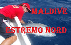 MALDIVES ESTREMO NORD