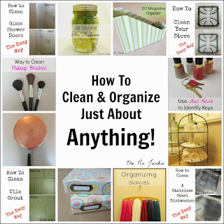 http://www.thepinjunkie.com/2014/01/how-to-clean-organize-anything.html