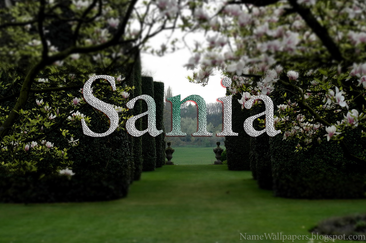 Sania Name Wallpapers Sania ~ Name Wallpaper Urdu Name Meaning Name Sania Name Wallpapers Sania ~ Name Wallpaper Urdu Name Meaning Name