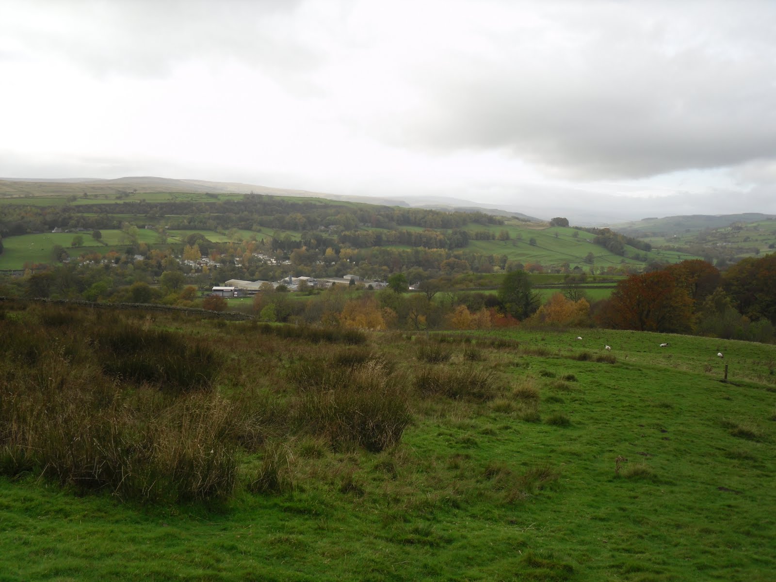 Rambling Nana Stanhope & Wolsingham Park Moor