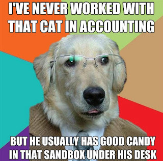 Dog Memes Dog Memes
