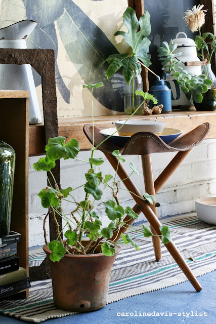 caroline davis stylist, trend daily blog, styling details, plants, behind the scenes