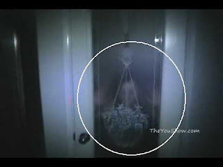 Dollar Bin Horror: The Truth Behind Horror Movie Ghoulies Part 1: Ghosts