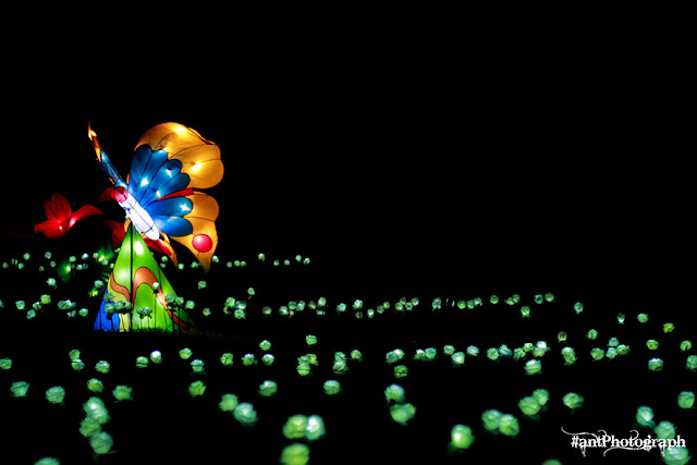 Festival of Light Yogyakarta 2017 Festival of Light Yogyakarta 2017