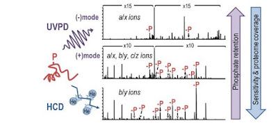 News in Proteomics Research: Saturday morning and it's raining? Time to ...