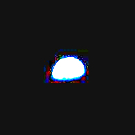 apollo moon