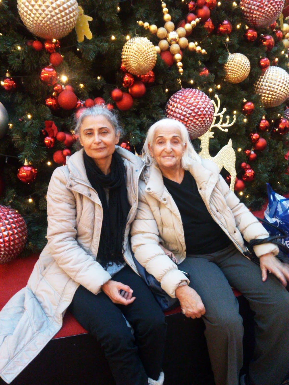 Ana dersin bir Noel kaz Ana dersin bir Noel kaz