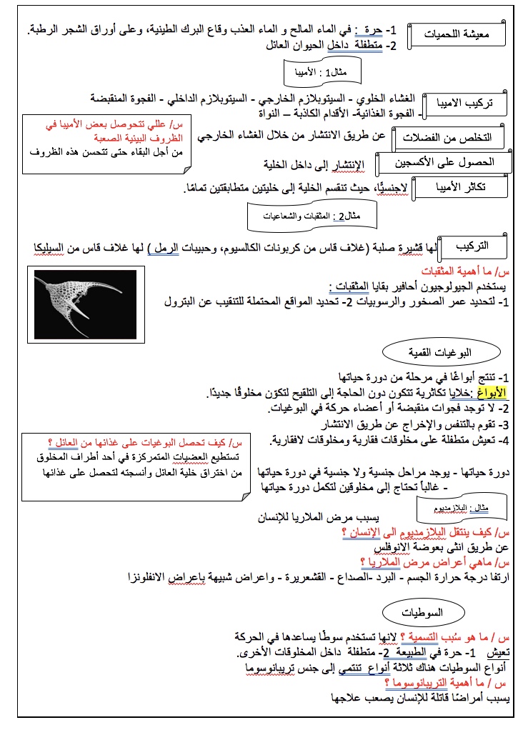 وجود مخلوقات حية تتزاوج فيما بينها في مكان واحد في وقت ما يسمى