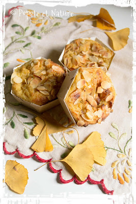Mini Puddings aux pommes caramel et au gingembre confit © Popote et Nature