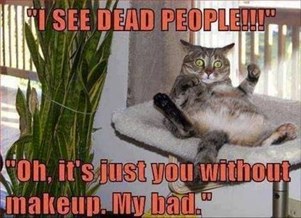 I see dead people! Of it's just you without makeup. My bad. Cat meme