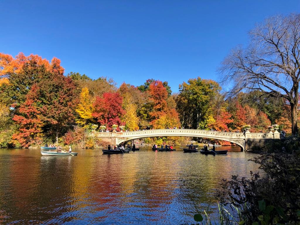 Puente en Central Park con botes de remos 