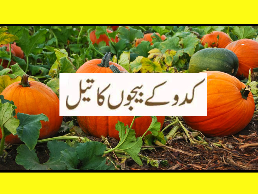 The benefits and harms of unique pumpkin oil The benefits and harms of unique pumpkin oil