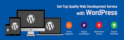 http://www.zinavo.com
