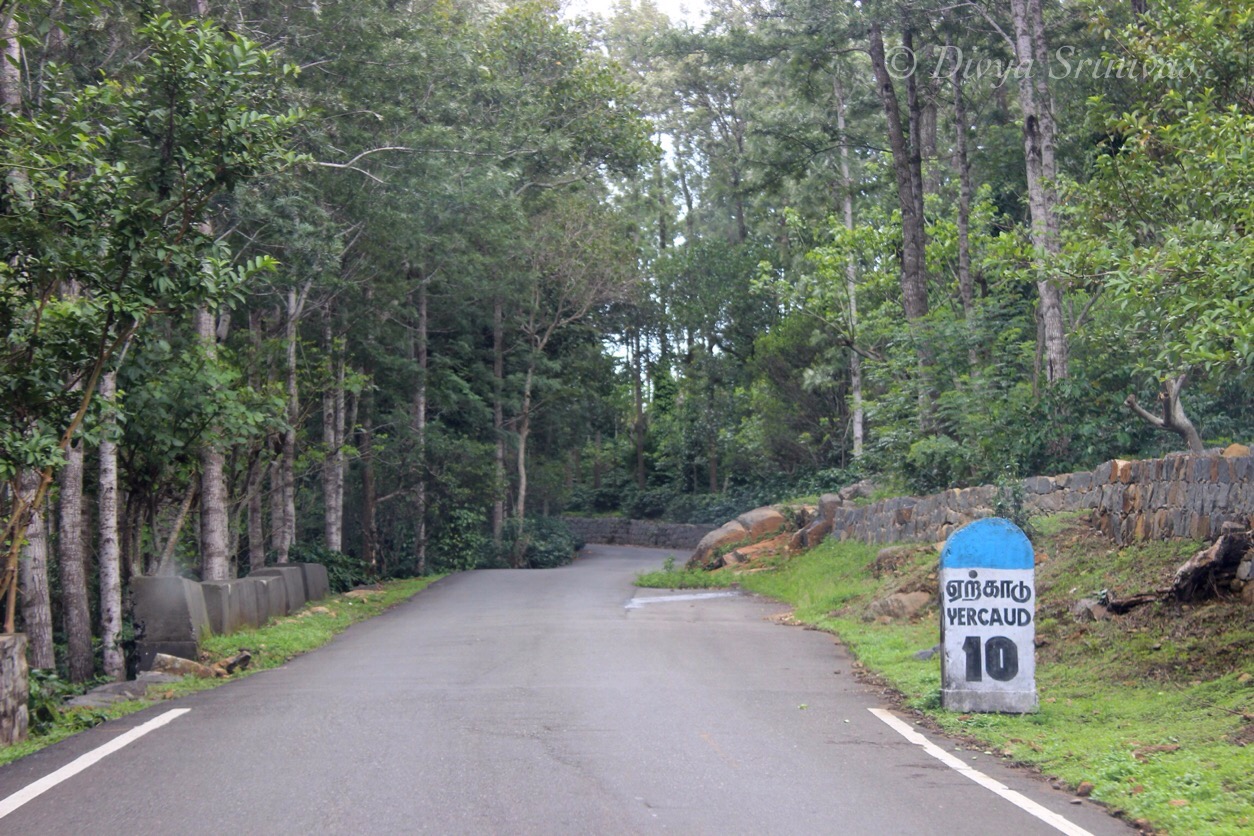 Creatikaa Hills Of Tamil Nadu A Road Trip To Yercaud
