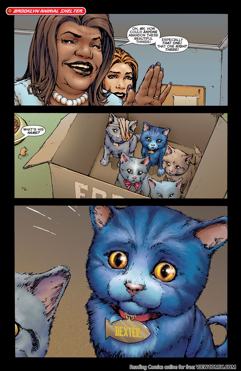 19