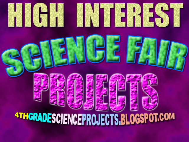 4th Grade Science Projects: The Electricity Fair: Science That is Shocking!