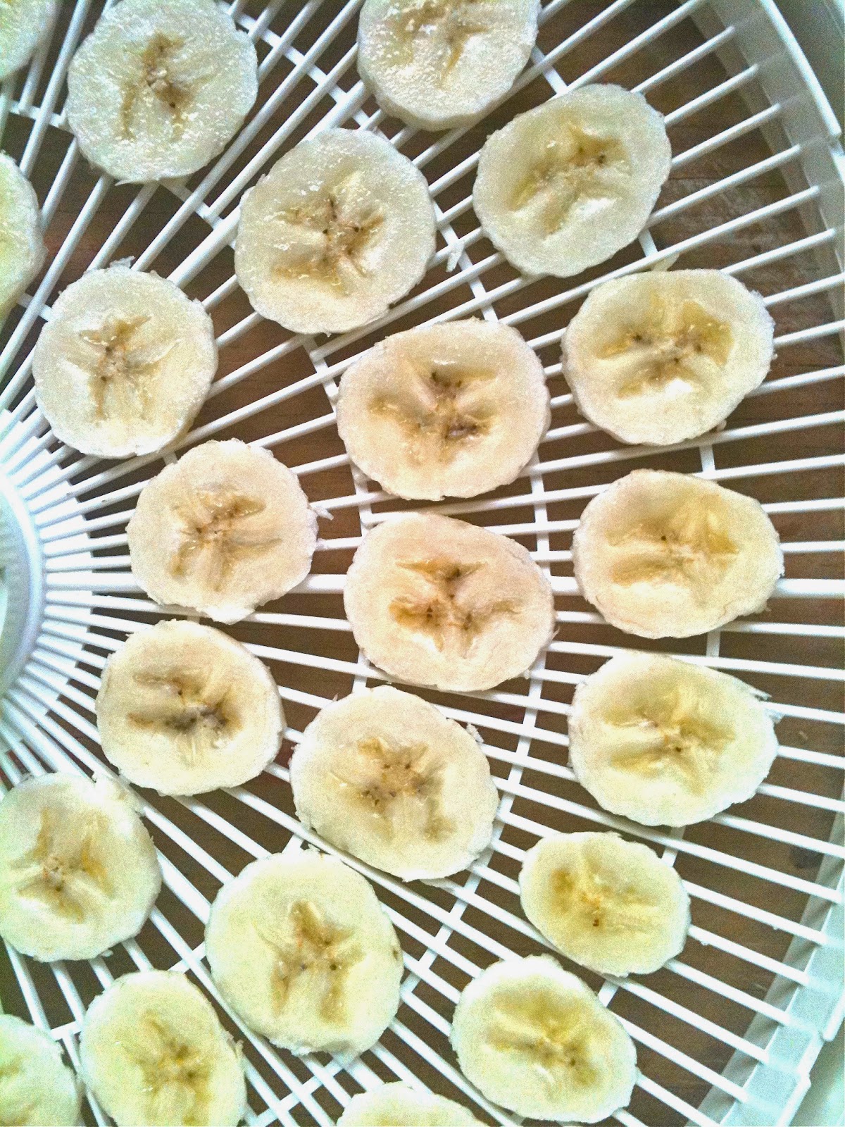 Passionately Raw! Healthy Raw Banana Chips
