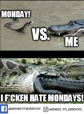 Monday vs me I hate monday