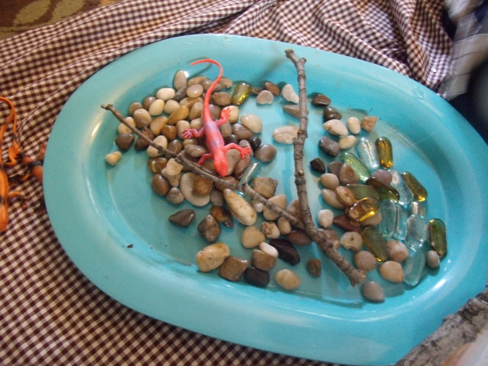 What's Fun Today? Kid Created Lizard Habitat