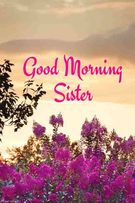 good-morning-sister-image good morning sister image