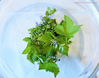 Rezept für Mai-Wein Alte Rezepte für Mai-Trunk, natürliches Gesundheits-Mittel