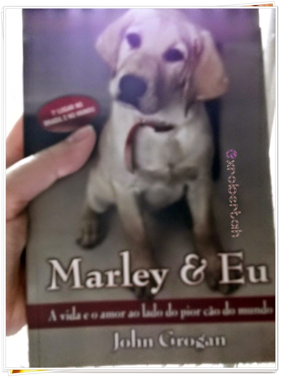 Postagem do livro Marley e Eu