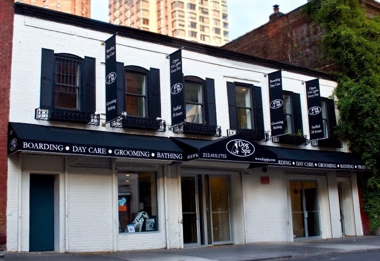 Midtown Blogger/Manhattan Valley Follies Dog Spa and Hotel Flatiron