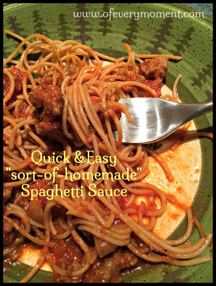 my easy spaghetti sauce recipe