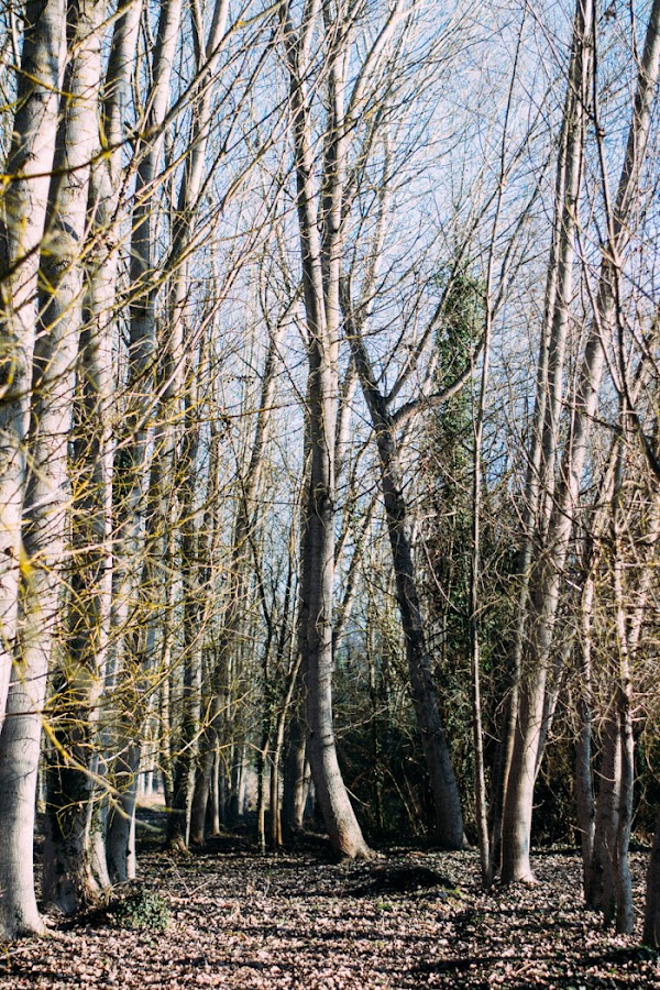 Cartel Madera Merry Christmas DIY con Gocco