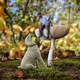 03-Alice-was-Right-Christopher-Cline-Juji-The-Giant-Dog-Photo-Manipulations-www-designstack-co